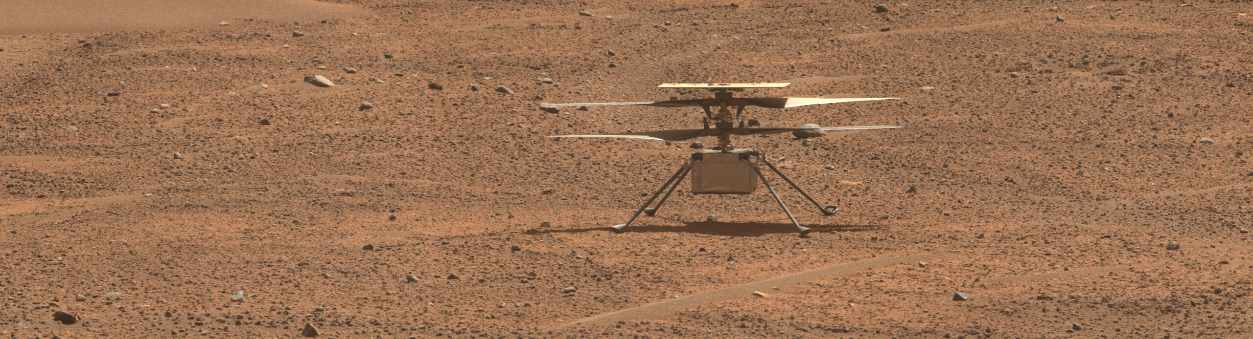 NASA mars helicopter